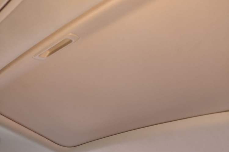 Used Honda Elysion 2019 2.0L Hybrid Supreme Edition Headliner