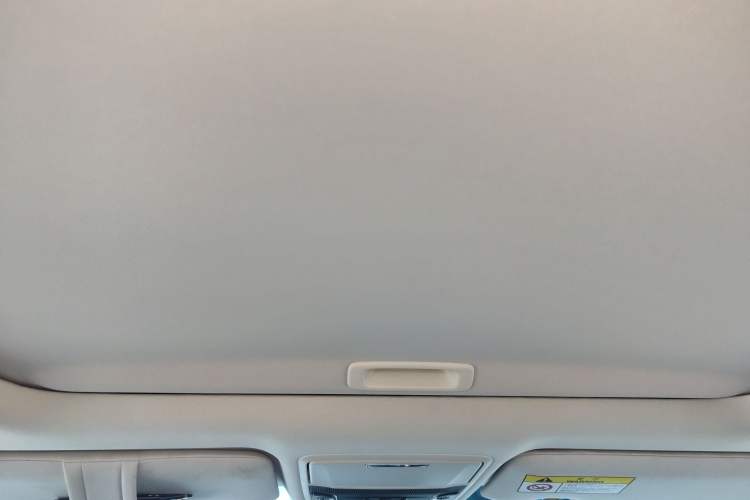 Used Honda Elysion 2019 2.0L Hybrid Luxury Edition Headliner