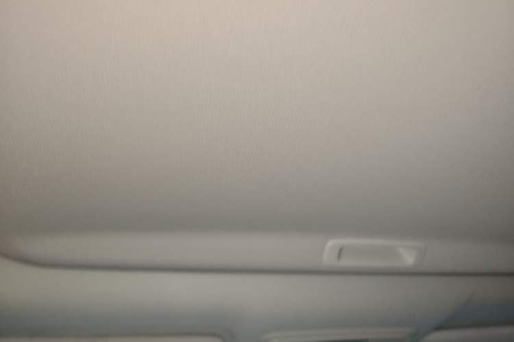 Used Honda Elysion 2019 2.0L Hybrid Luxury Edition Headliner