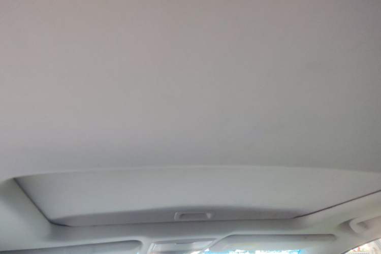 Used Honda Elysion 2019 2.0L Hybrid Luxury Edition Headliner