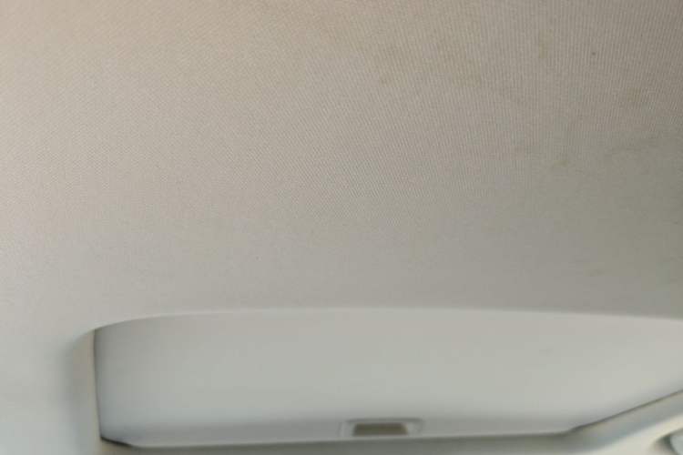 Used Honda Elysion 2019 2.0L Hybrid Luxury Edition Headliner