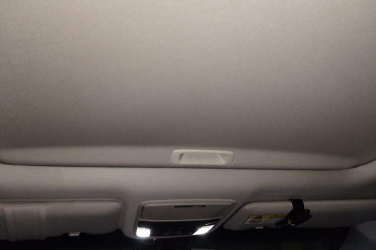 Used Honda Elysion 2019 2.0L Hybrid Luxury Edition Headliner