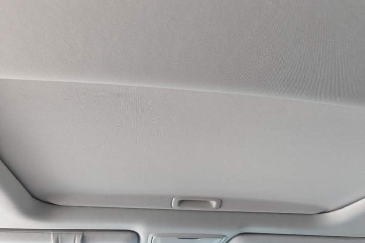 Used Honda Elysion 2019 2.0L Hybrid Supreme Edition Headliner