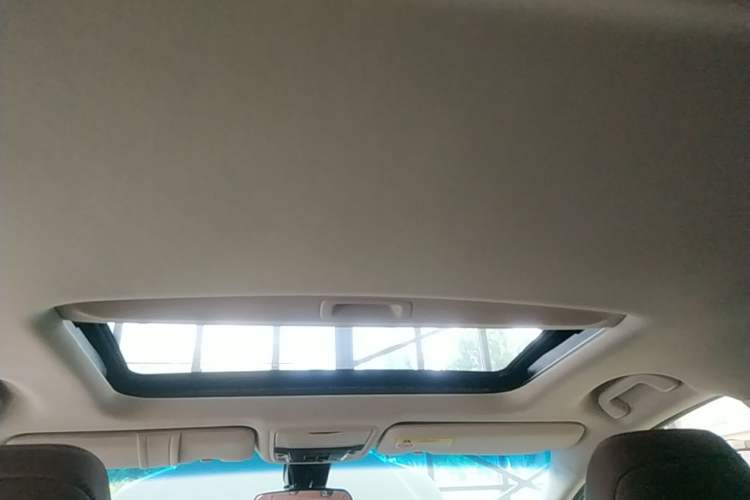 Used Honda Elysion 2019 2.0L Hybrid Supreme Edition Headliner