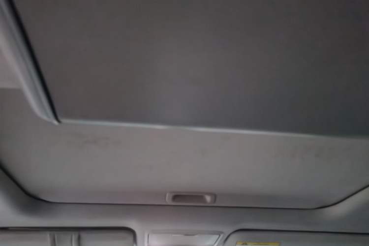 Used Honda Elysion 2019 2.0L Hybrid Comfort Edition Headliner