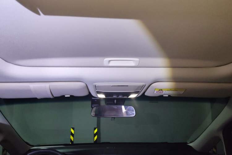 Used Honda Elysion 2019 2.0L Hybrid Supreme Edition Headliner