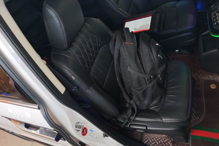 Used Honda Elysion 2019 2.0L Hybrid Luxury Edition Right Front Seat