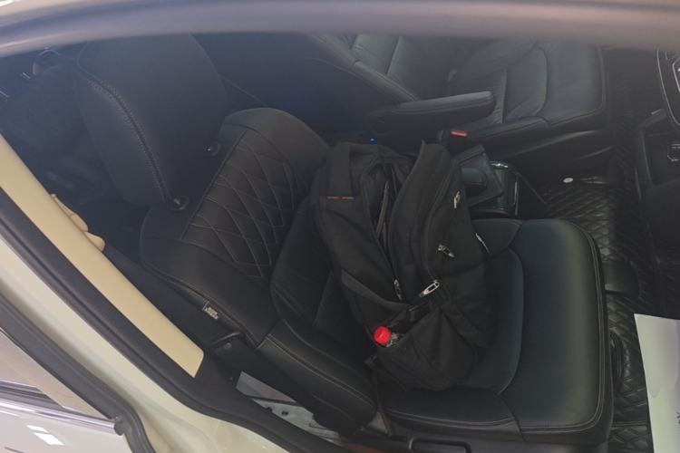 Used Honda Elysion 2019 2.0L Hybrid Luxury Edition Right Front Seat