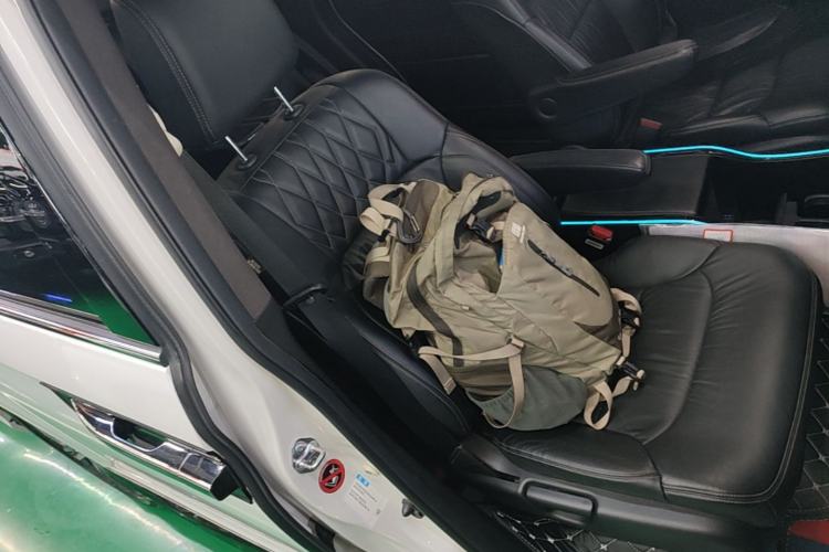 Used Honda Elysion 2019 2.0L Hybrid Supreme Edition Right Front Seat