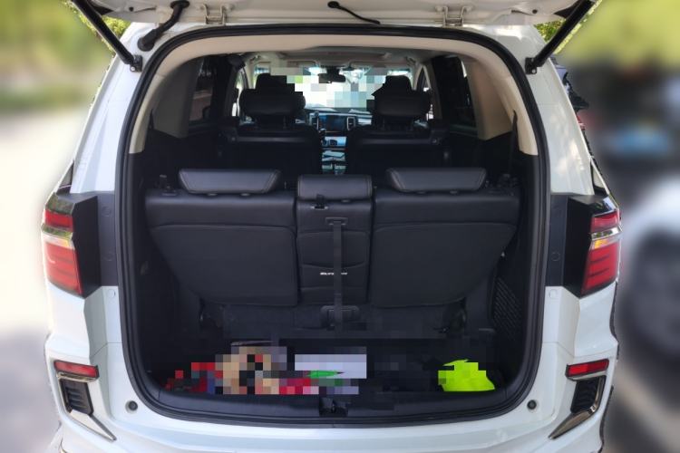 Used Honda Elysion 2019 2.0L Hybrid Luxury Edition Trunk