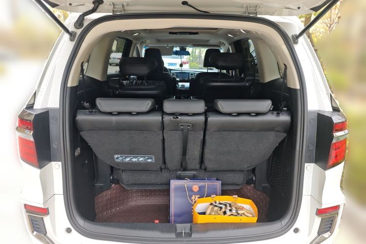Used Honda Elysion 2019 2.0L Hybrid Luxury Edition Trunk