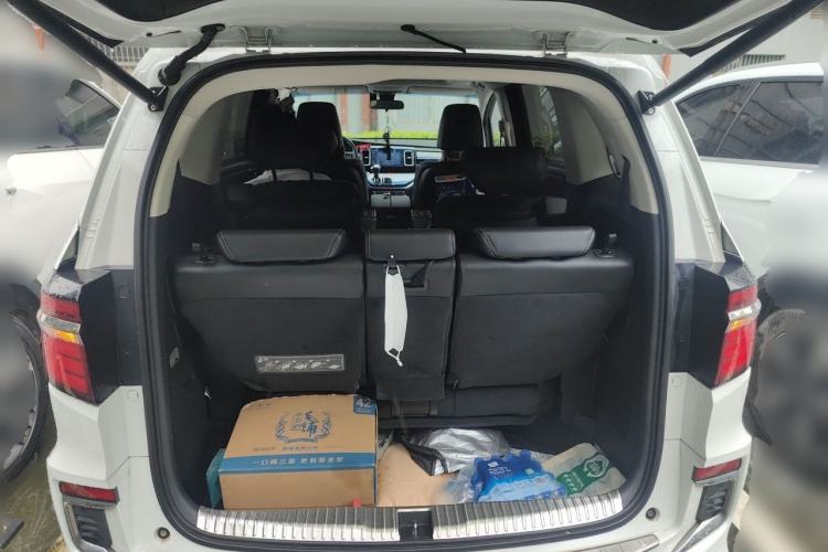 Used Honda Elysion 2019 2.0L Hybrid Luxury Edition Trunk