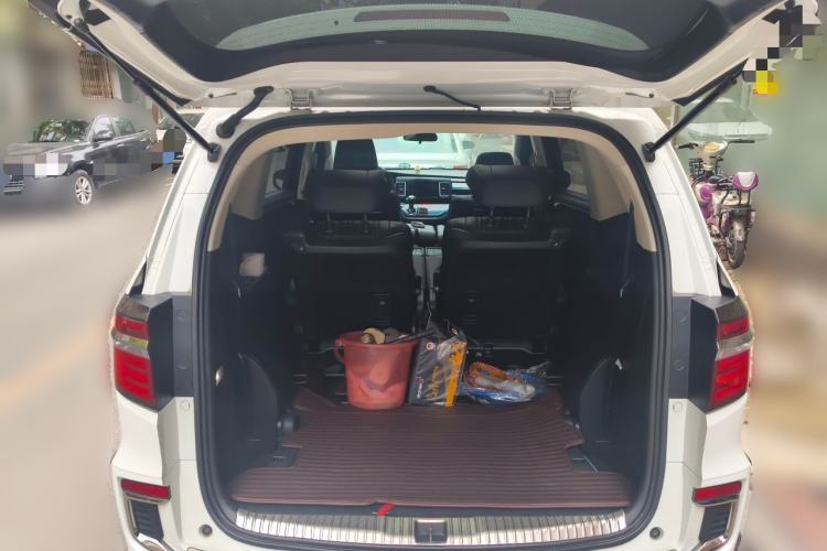 Used Honda Elysion 2019 2.0L Hybrid Supreme Edition Trunk