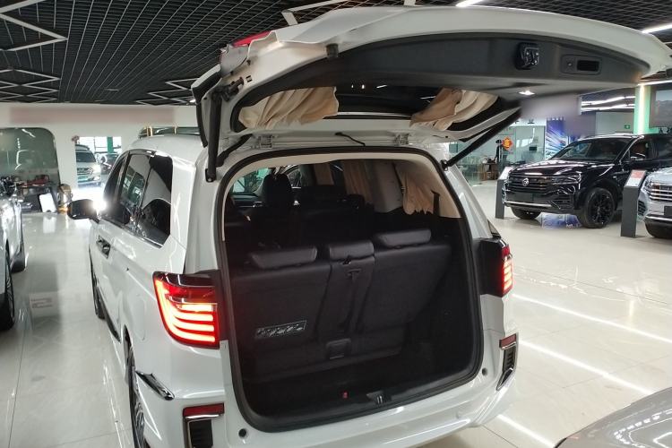 Used Honda Elysion 2019 2.0L Hybrid Luxury Edition Trunk
