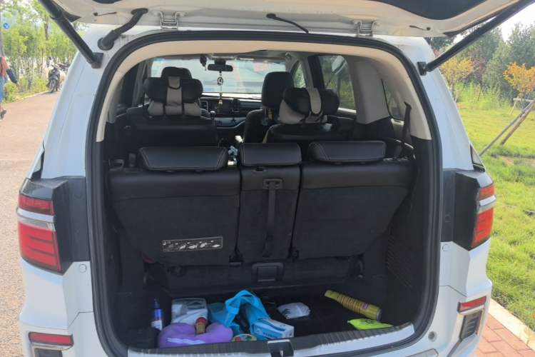 Used Honda Elysion 2019 2.0L Hybrid Comfort Edition Trunk