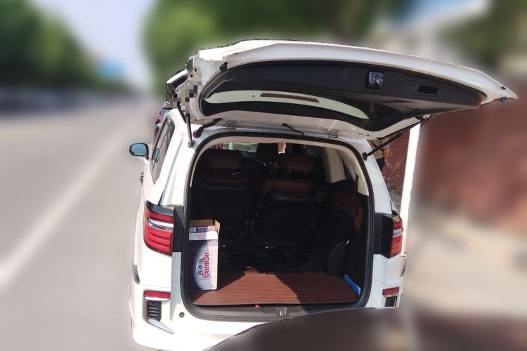Used Honda Elysion 2019 2.0L Hybrid Supreme Edition Trunk