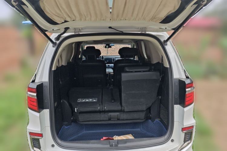 Used Honda Elysion 2019 2.0L Hybrid Luxury Edition Trunk