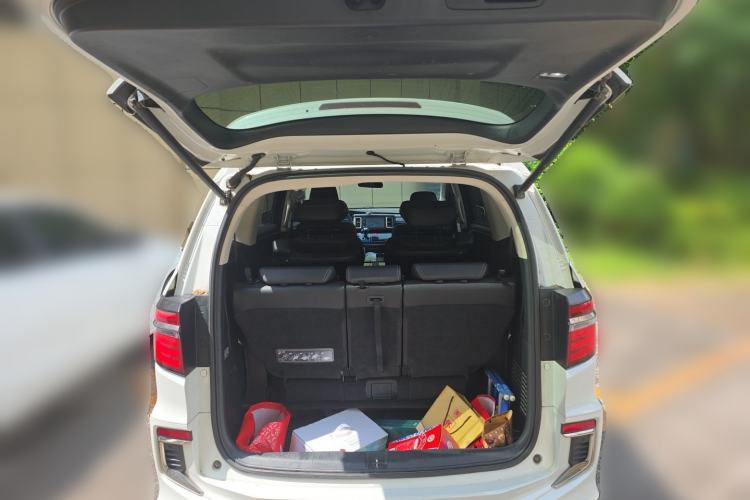 Used Honda Elysion 2019 2.0L Hybrid Luxury Edition Trunk