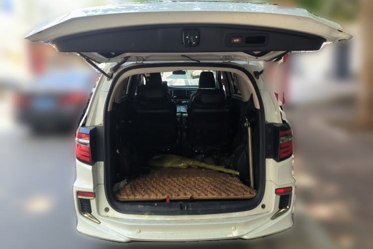 Used Honda Elysion 2019 2.0L Hybrid Luxury Edition Trunk