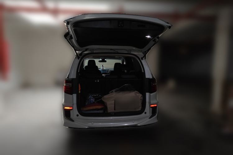 Used Honda Elysion 2019 2.0L Hybrid Luxury Edition Trunk