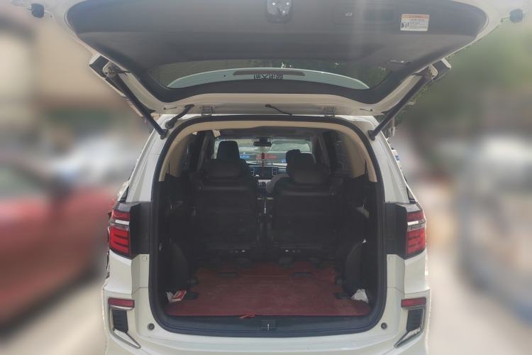 Used Honda Elysion 2019 2.0L Hybrid Luxury Edition Trunk