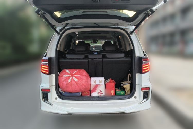 Used Honda Elysion 2019 2.0L Hybrid Luxury Edition Trunk