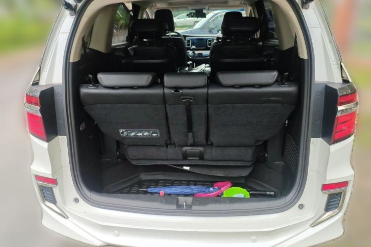 Used Honda Elysion 2019 2.0L Hybrid Luxury Edition Trunk
