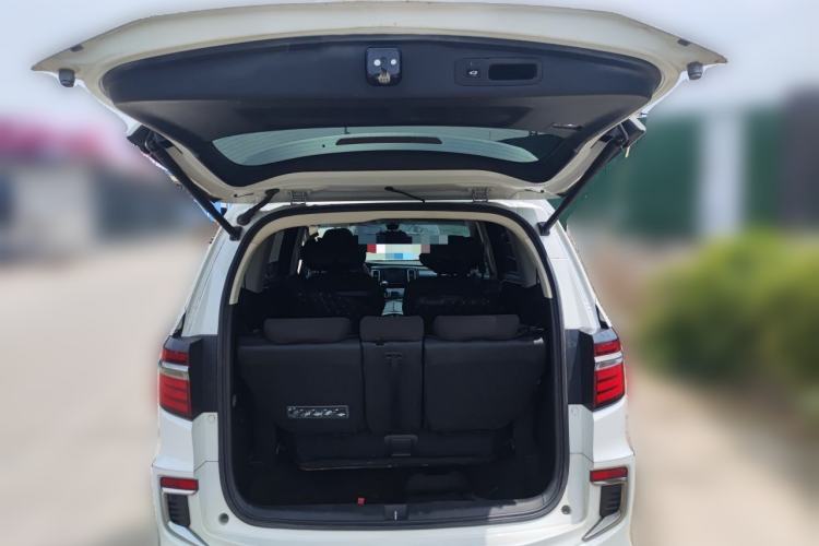Used Honda Elysion 2019 2.0L Hybrid Luxury Edition Trunk
