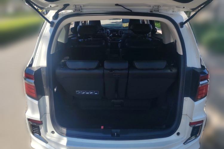 Used Honda Elysion 2019 2.0L Hybrid Luxury Edition Trunk