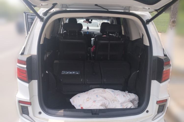 Used Honda Elysion 2019 2.0L Hybrid Luxury Edition Trunk