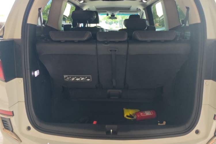 Used Honda Elysion 2019 2.0L Hybrid Luxury Edition Trunk
