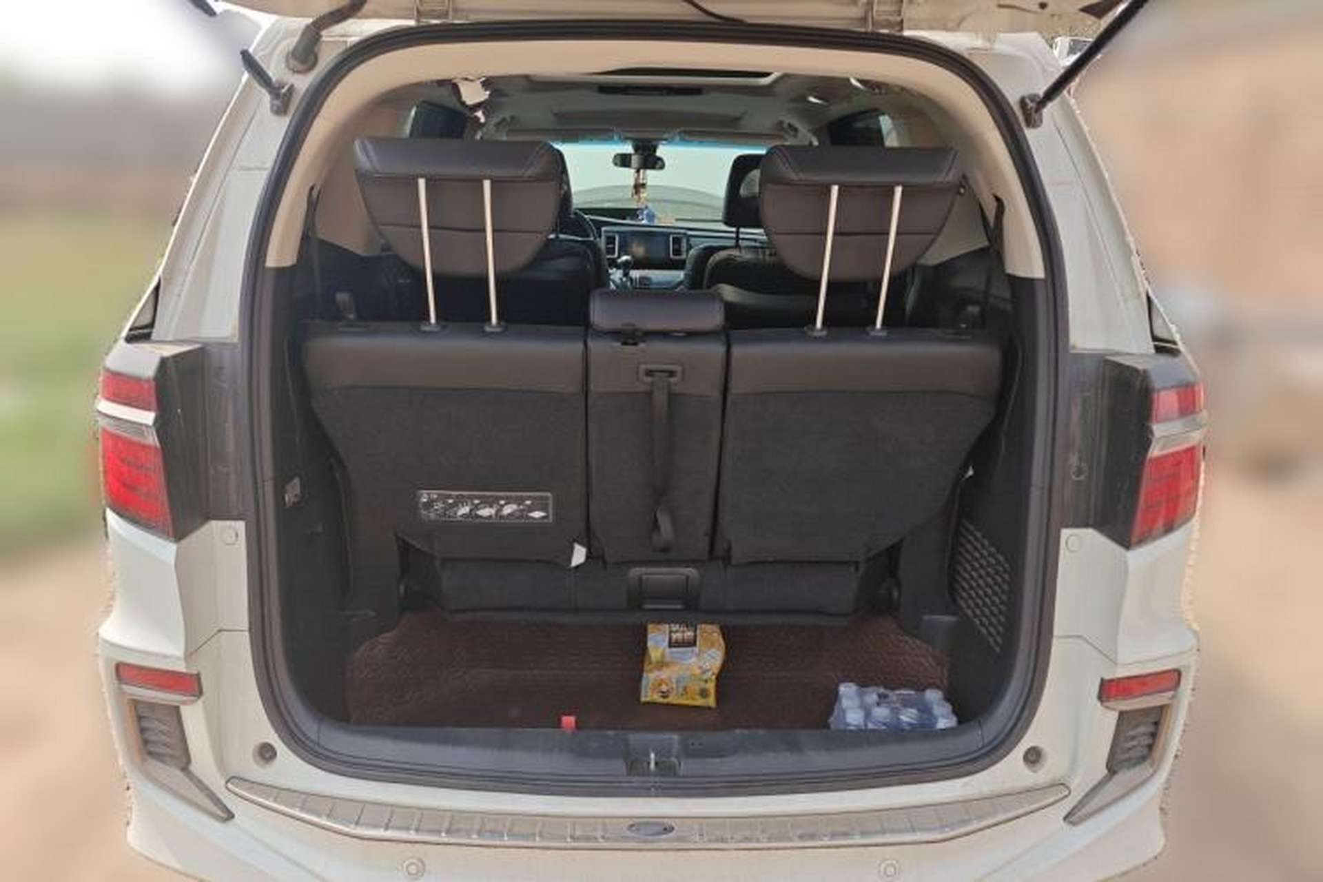 Used Honda Elysion 2019 2.0L Hybrid Luxury Edition Trunk