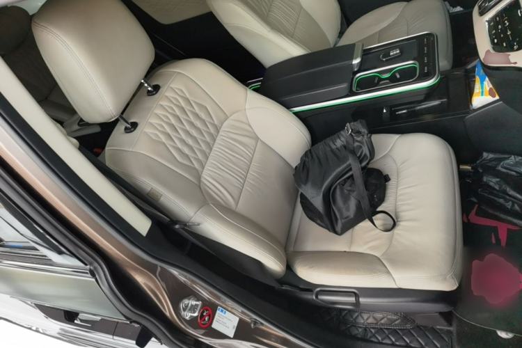 Used Honda Elysion 2022 2.0L eHEV Luxury Edition Right Front Seat