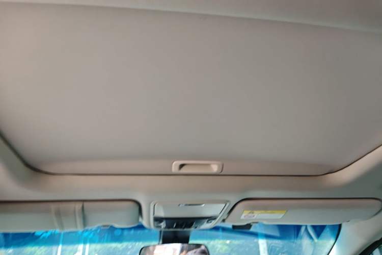 Used Honda Elysion 2022 2.0L eHEV Luxury First Edition Headliner