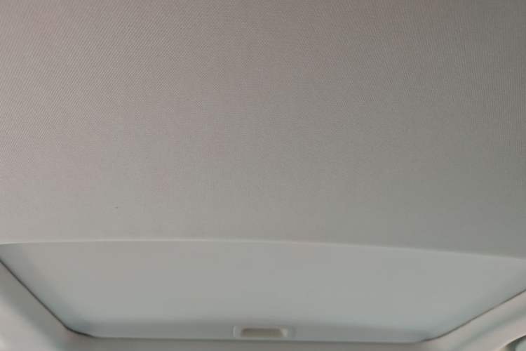 Used Honda Elysion 2022 2.0L eHEV Luxury First Edition Headliner