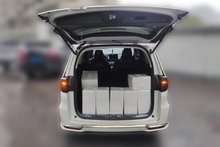 Used Honda Elysion 2022 2.0L eHEV Luxury Edition Trunk