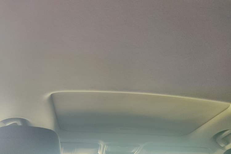Used Honda Elysion 2024 2.0L eHEV Comfort Edition Headliner