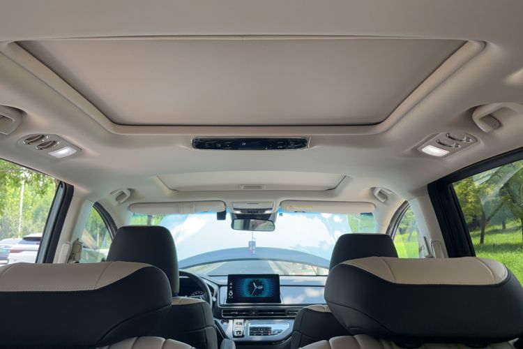 Used Honda Elysion 2024 2.0L eHEV Comfort Edition Headliner