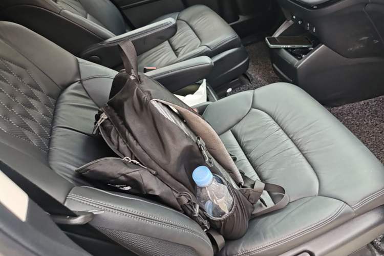 Used Honda Elysion 2024 2.0L eHEV Luxury Edition Right Front Seat