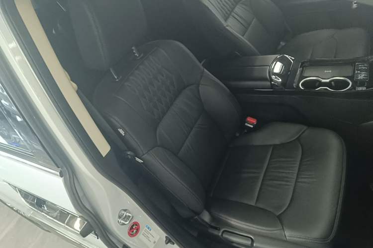 Used Honda Elysion 2024 2.0L eHEV Luxury Edition Right Front Seat