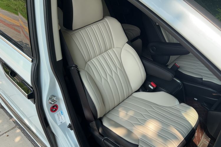 Used Honda Elysion 2024 2.0L eHEV Comfort Edition Right Front Seat
