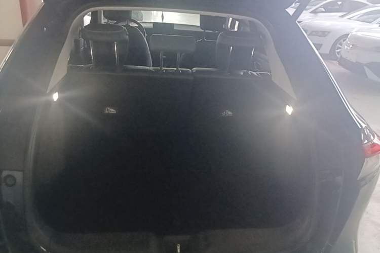 Used Honda e:NP1 2023 510 km Range Lanji Version Trunk