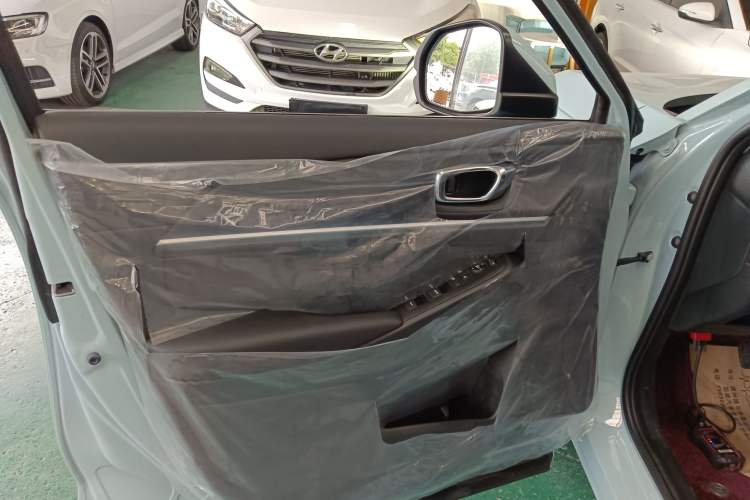 Used Honda e:NP1 2023 420 km Vision Edition Left Front Door Interior