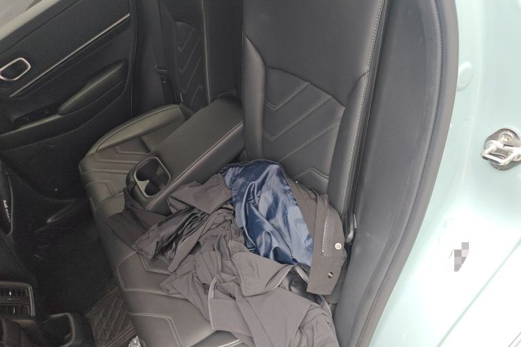 Used Honda e:NP1 2023 510 km Zhanji Version Left Rear Seat