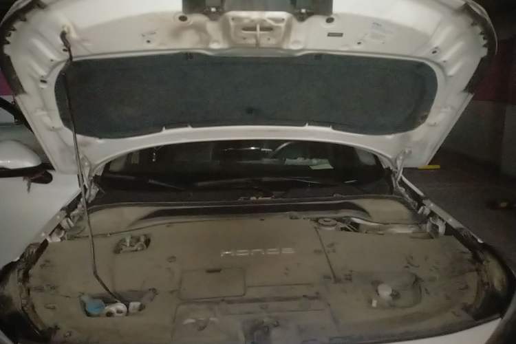 Used Honda e:NP1 2023 420 km Vision Edition Engine Bay