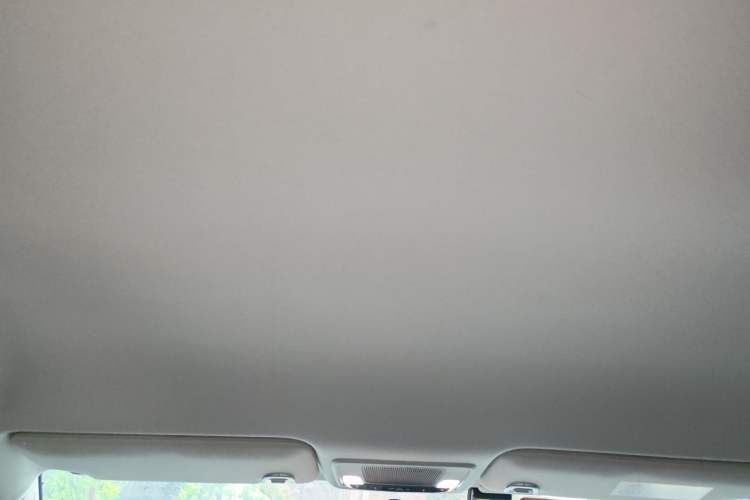 Used Honda e:NP1 2023 420 km Vision Edition Headliner