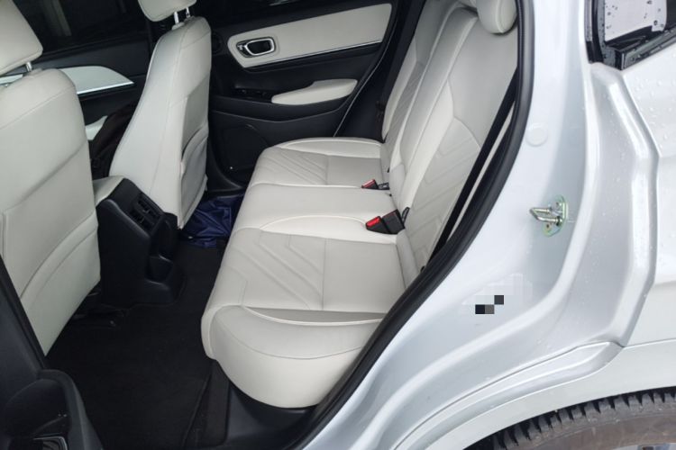 Used Honda e:NP1 2023 510 km Zhanji Version Left Rear Seat