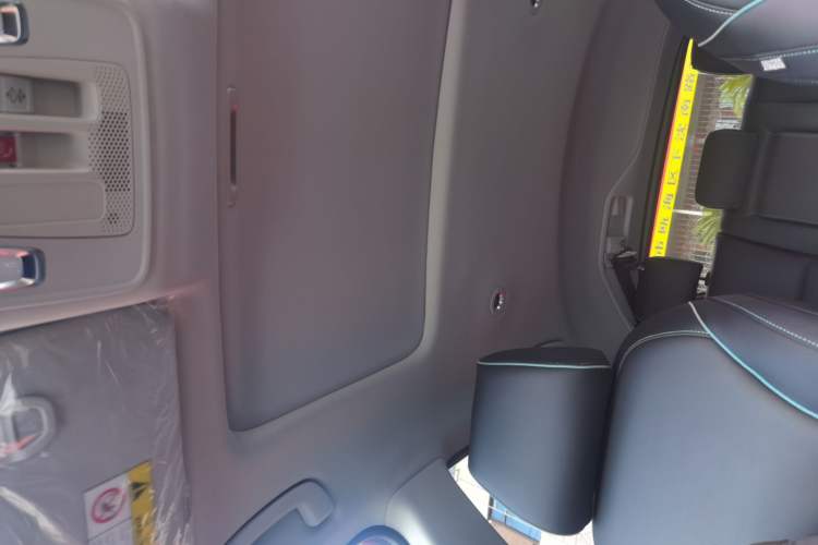 Used Honda e:NP2 2024 Advanced Edition Headliner
