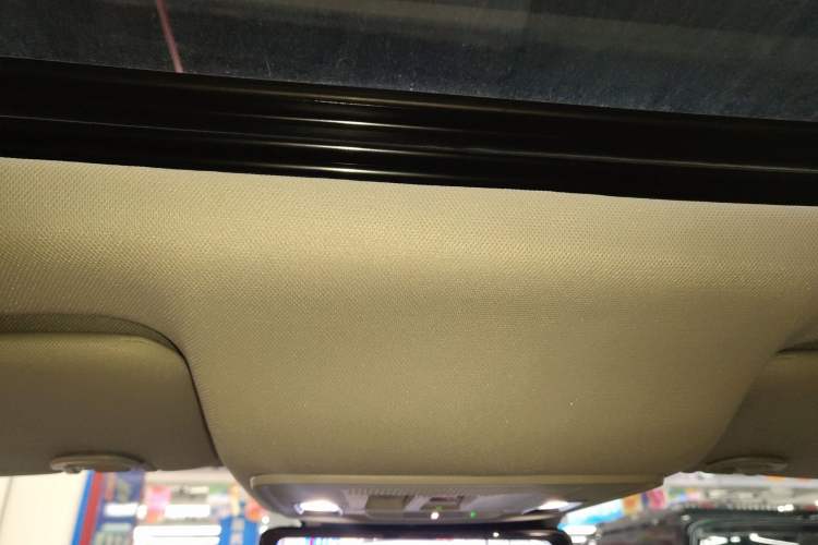Used Honda e:NP2 2024 Advanced Edition Headliner