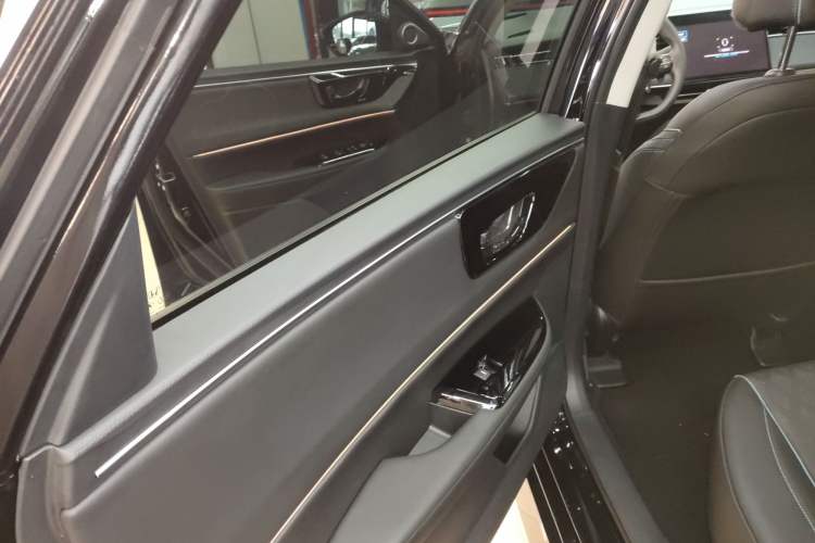 Used Honda e:NP2 2024 Advanced Edition Left Rear Door Interior